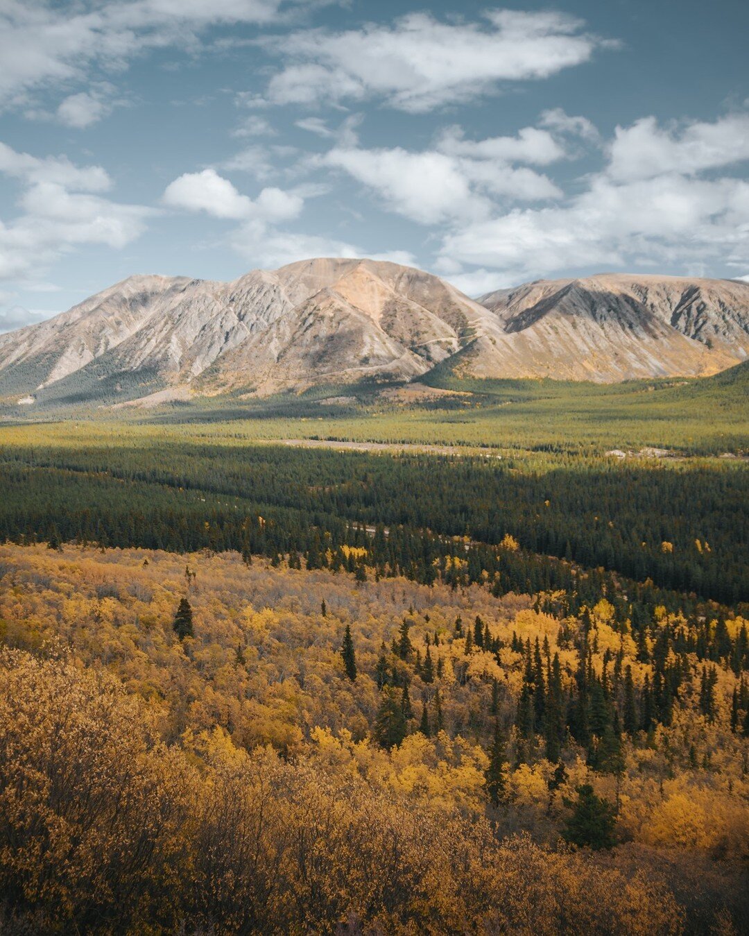 Who's ready for autumn colours in the Yukon 🙋&zwj;♀️