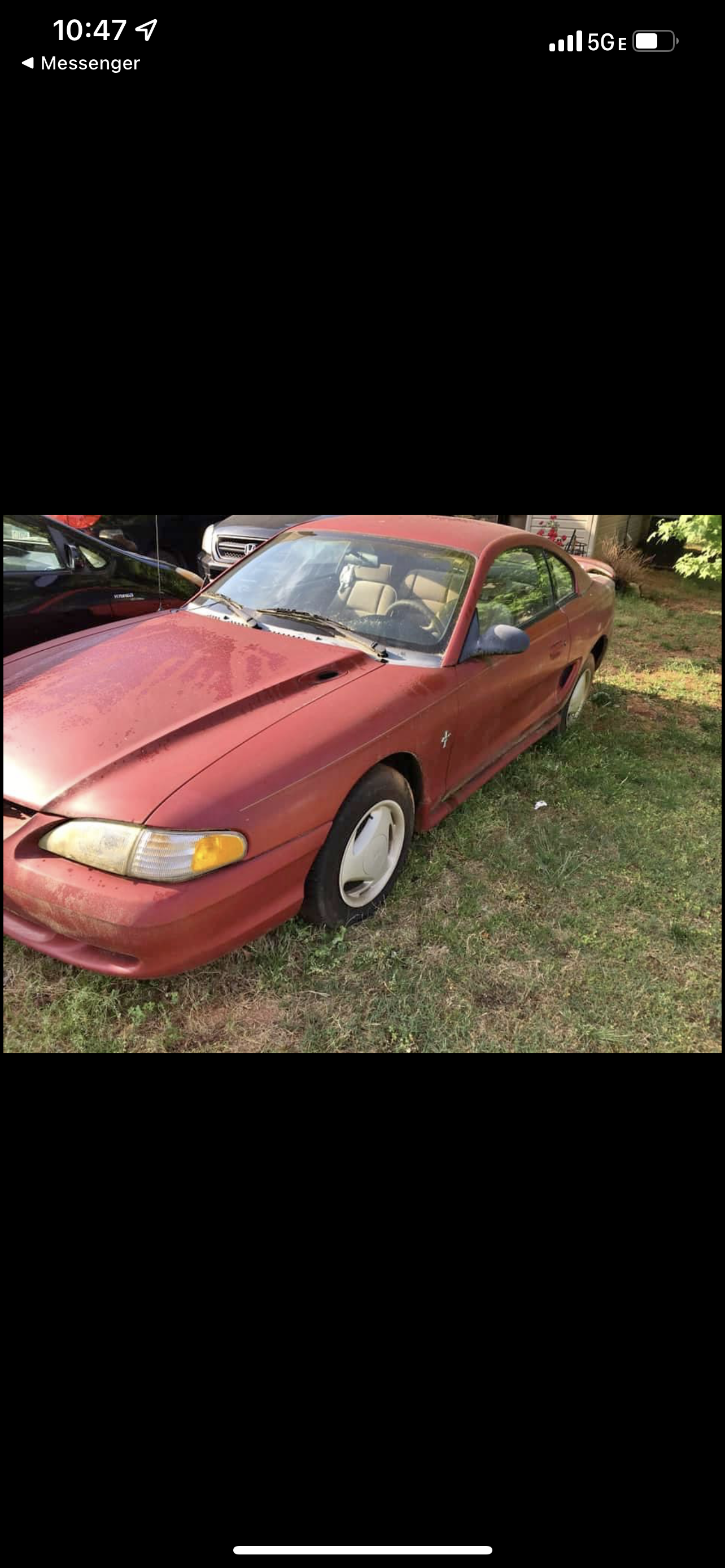 websitemustang1.png