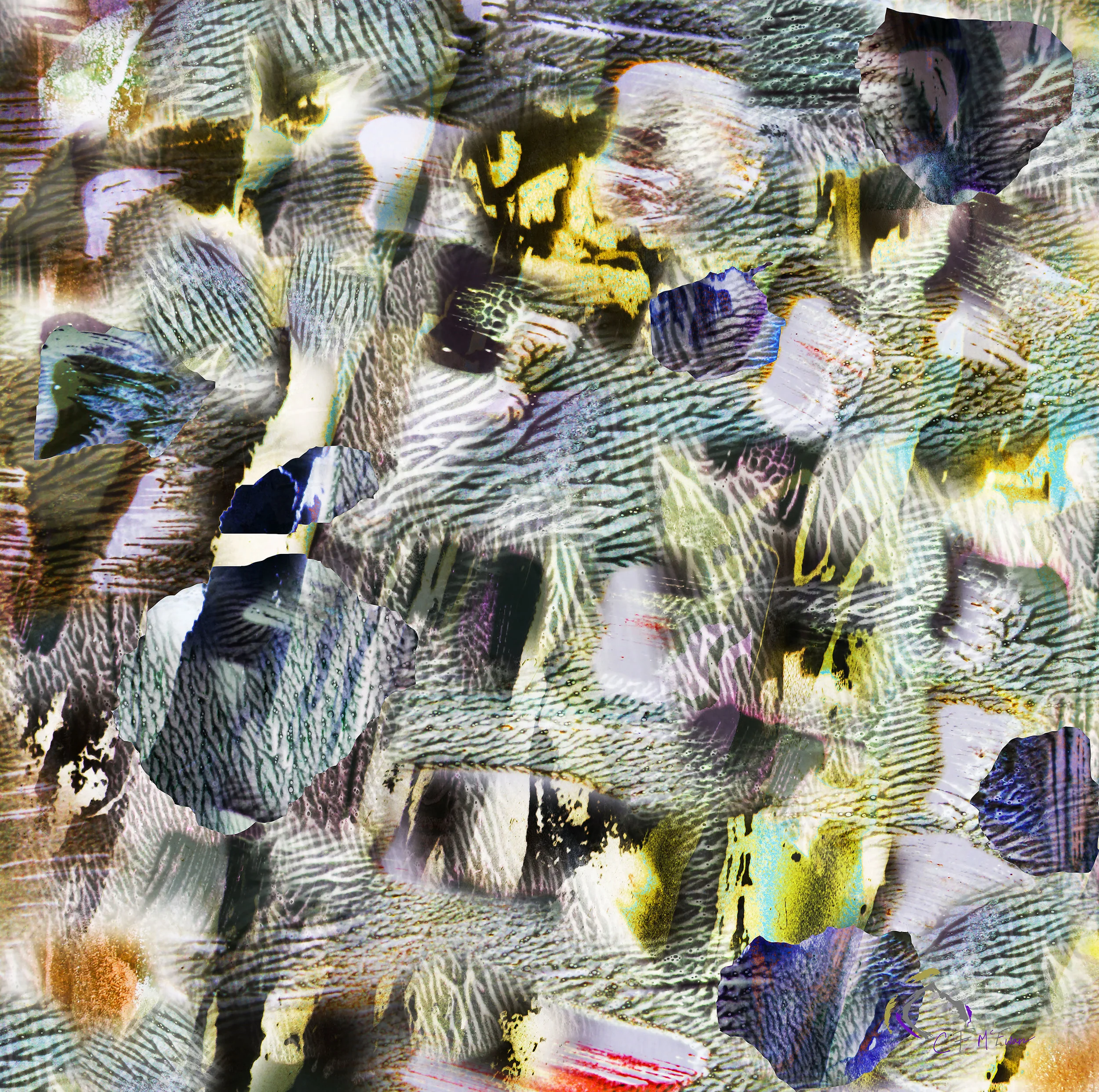 Camoflage.jpg