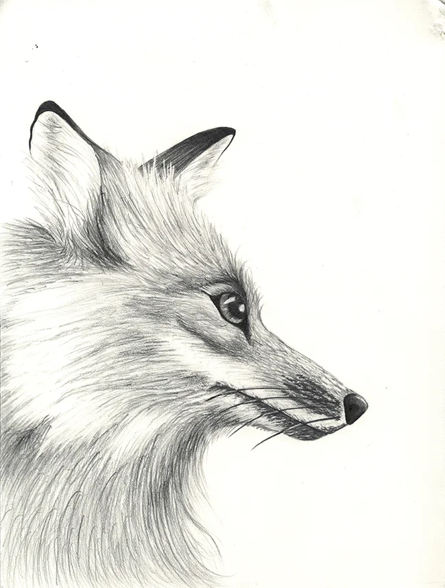 Reynaud