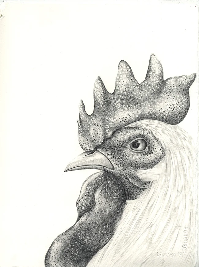 Chanticleer
