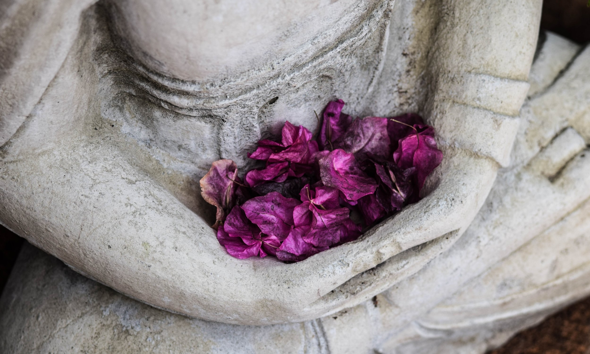 5 It is a blessing.jpg