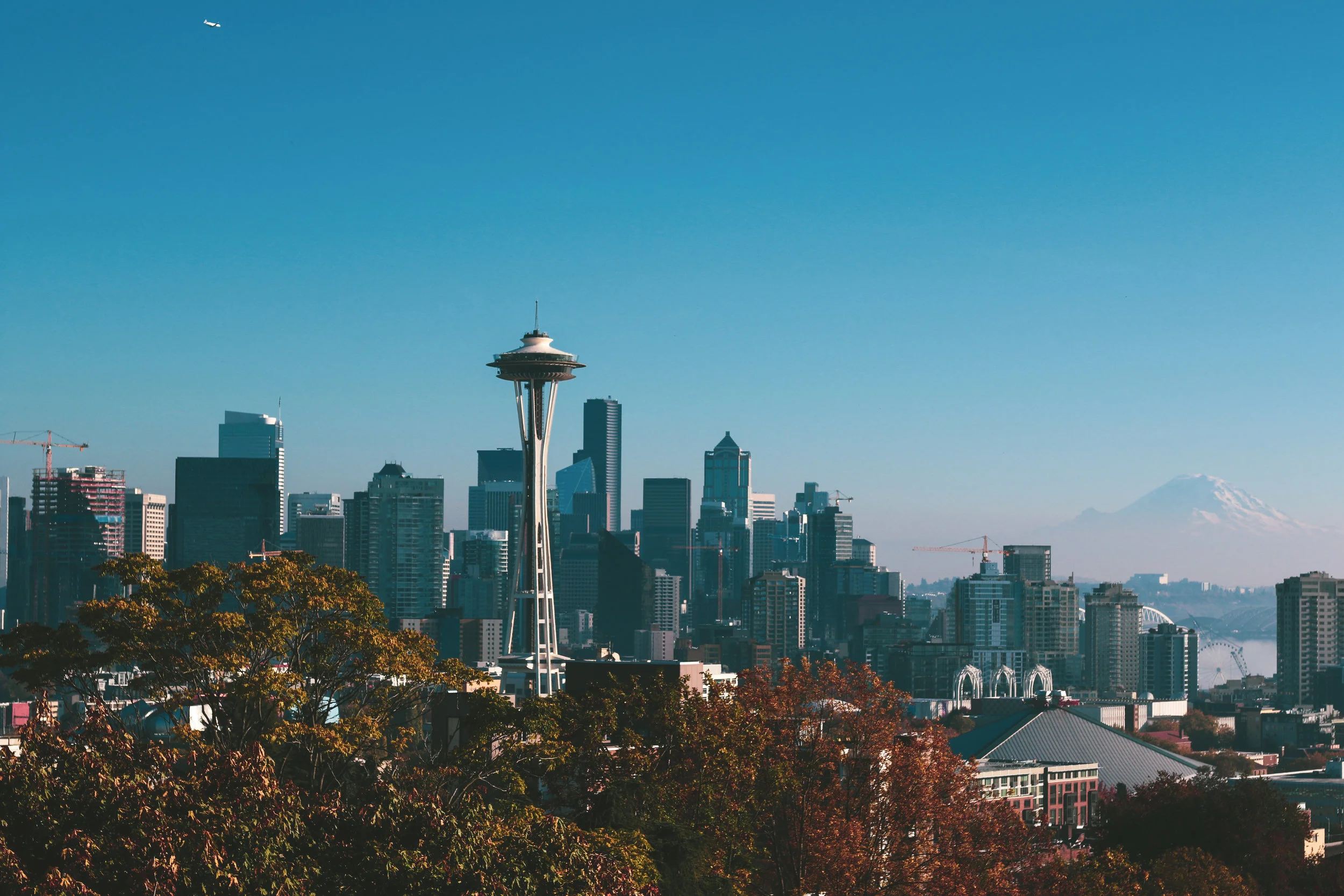 View From Kerry Park