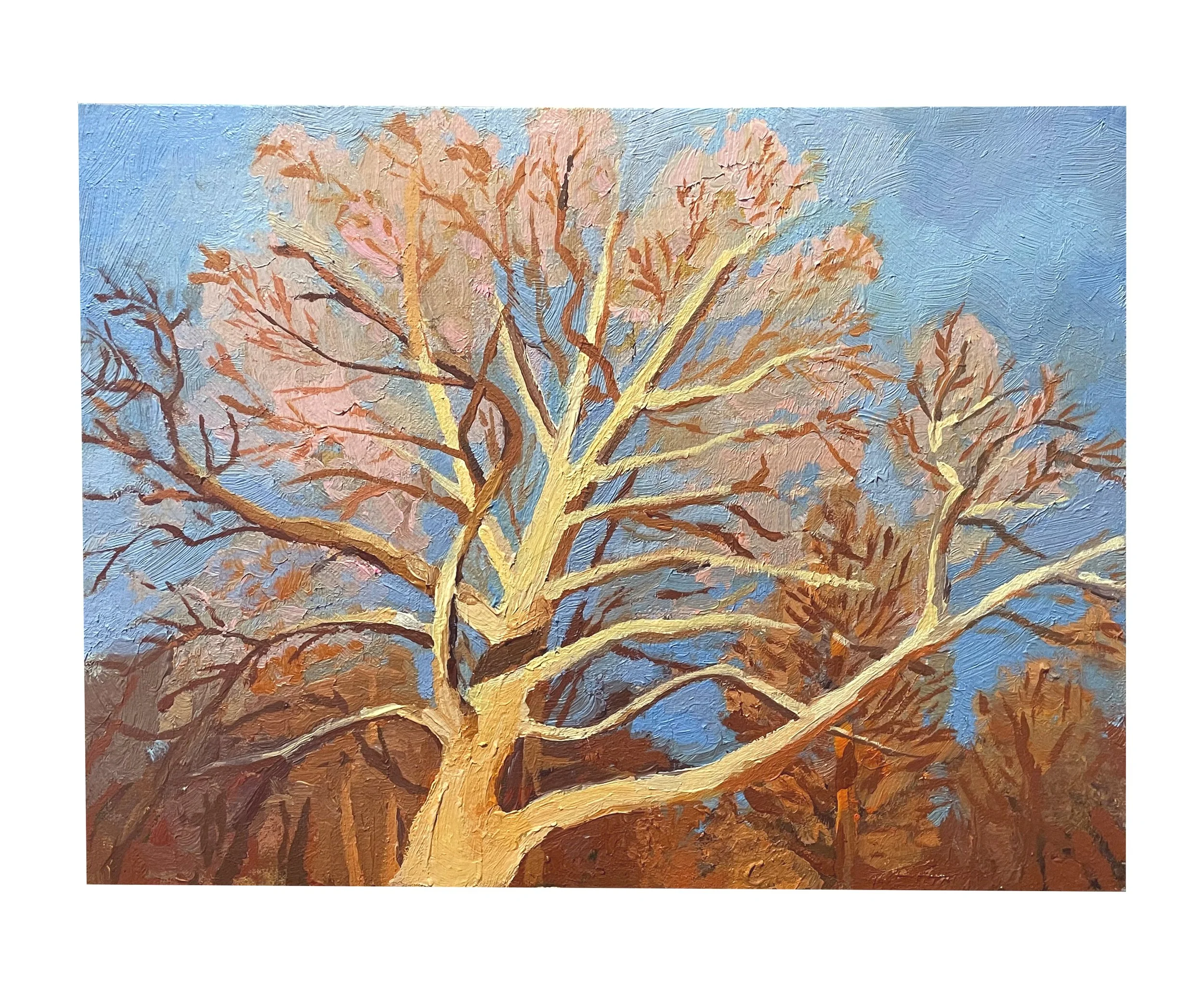 tree-2.jpg