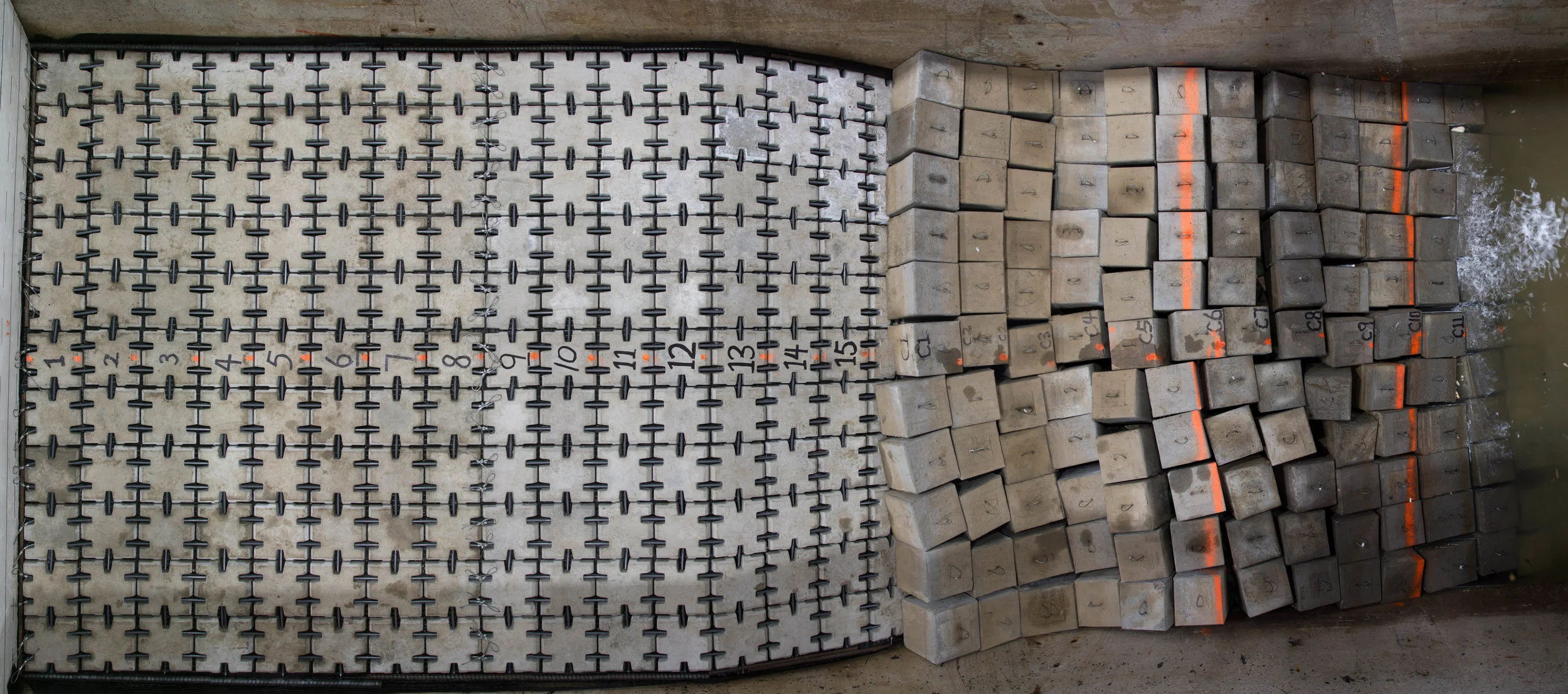 Model_AA_Initial_Profile smallest.jpg