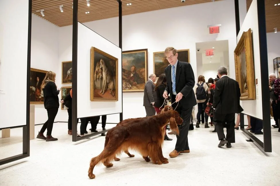 AKCs-Museum-of-the-Dog-opens-in-New-York.jpg