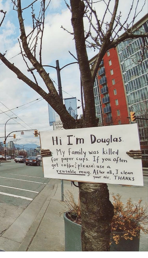 Douglas the Tree.png
