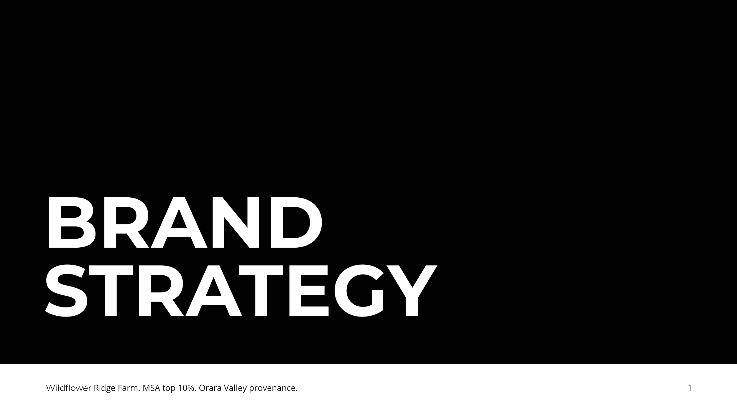 Brand_Strategy_Wildflower_Ridge_FINAL.png