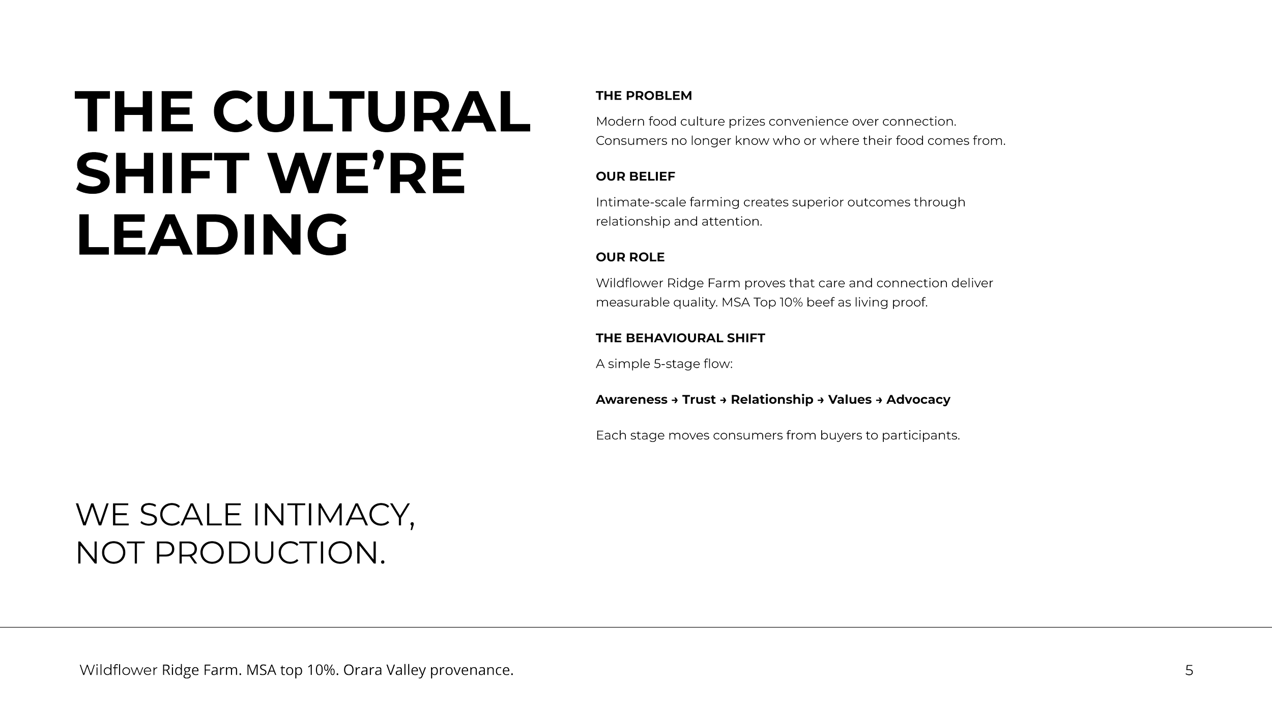 Brand_Strategy_Wildflower_Ridge_FINAL5.png