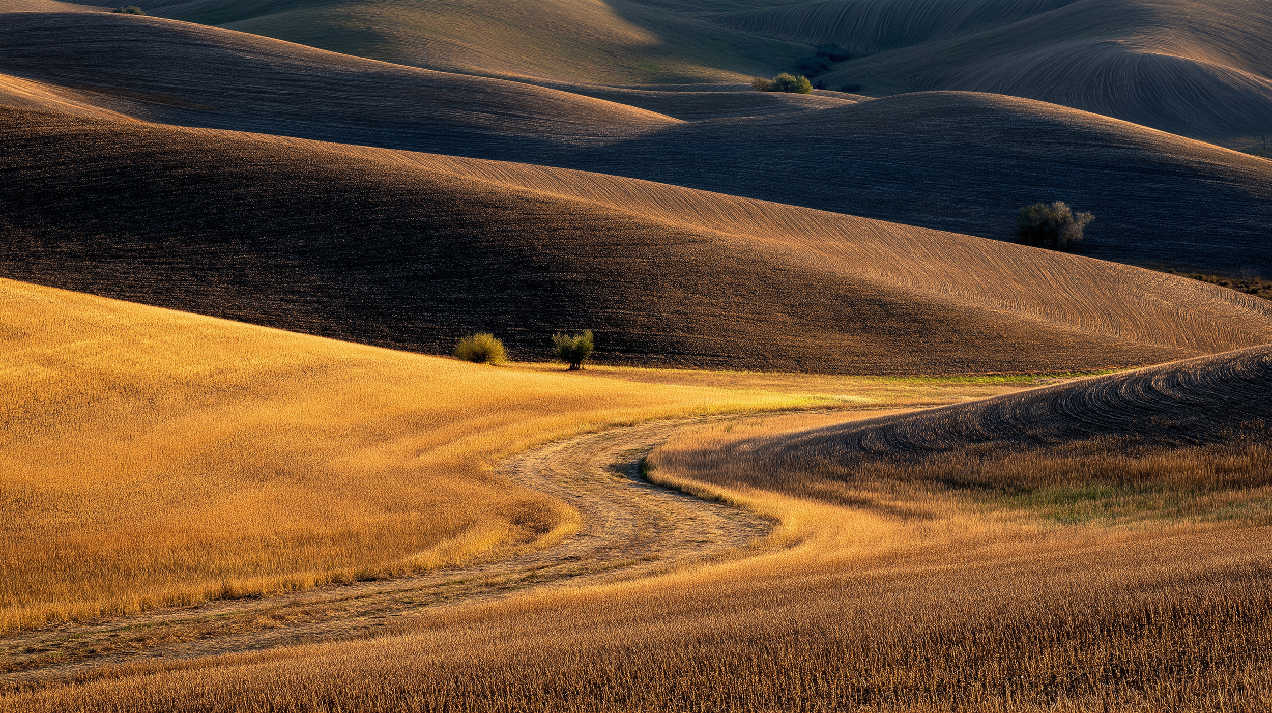 enb_Primary_Subjects_ridge_horizons_at_golden_hour_pasture_text_299c94fb-54cb-46ab-a024-789f2f76a2f3.png