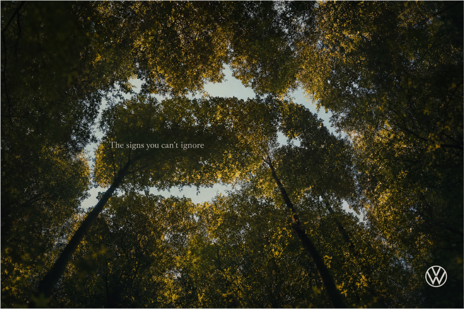 VW 'The signs were there'-17.png