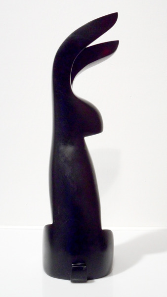 The Sleek Turning Rabbit