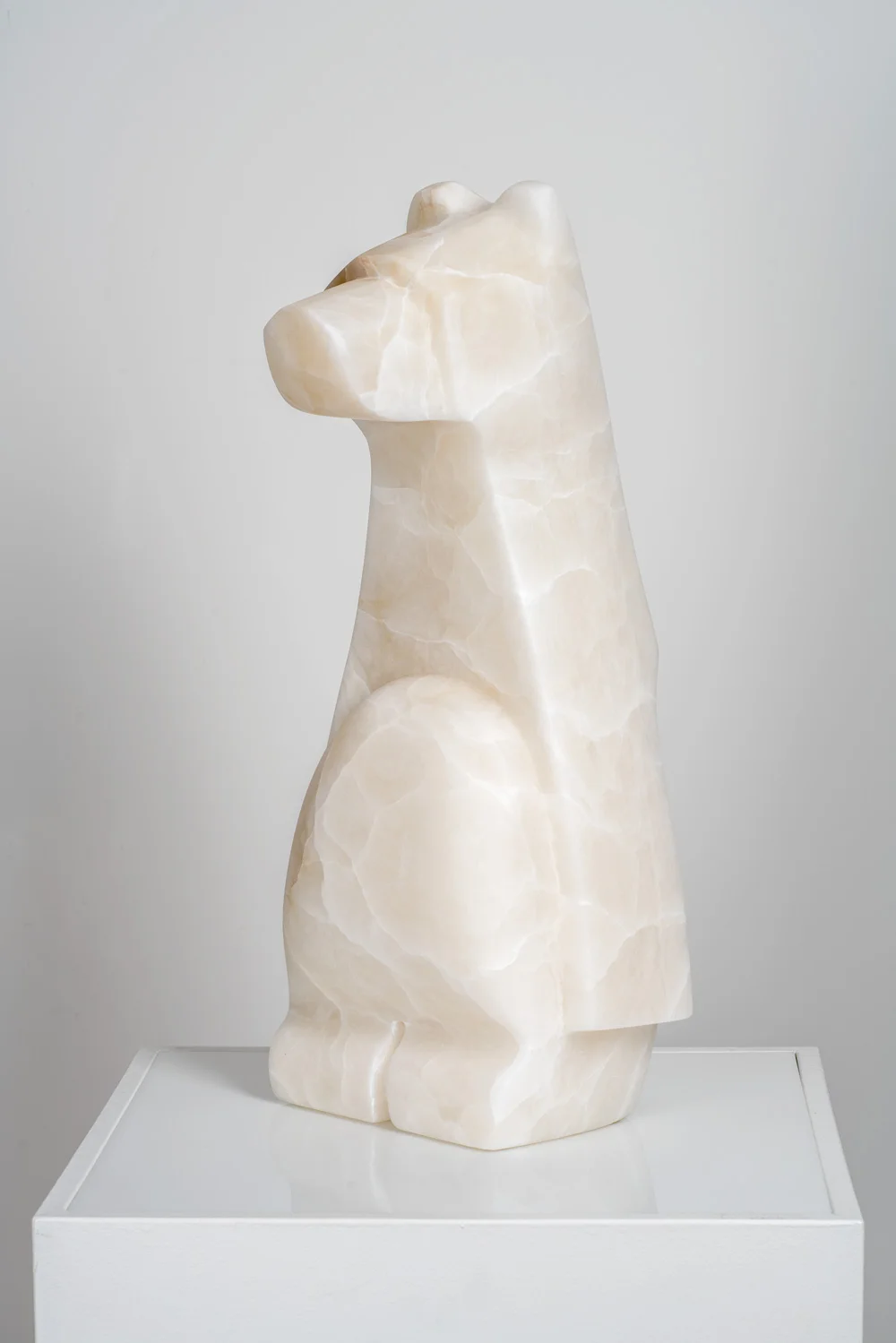 The Proud Standing Bear