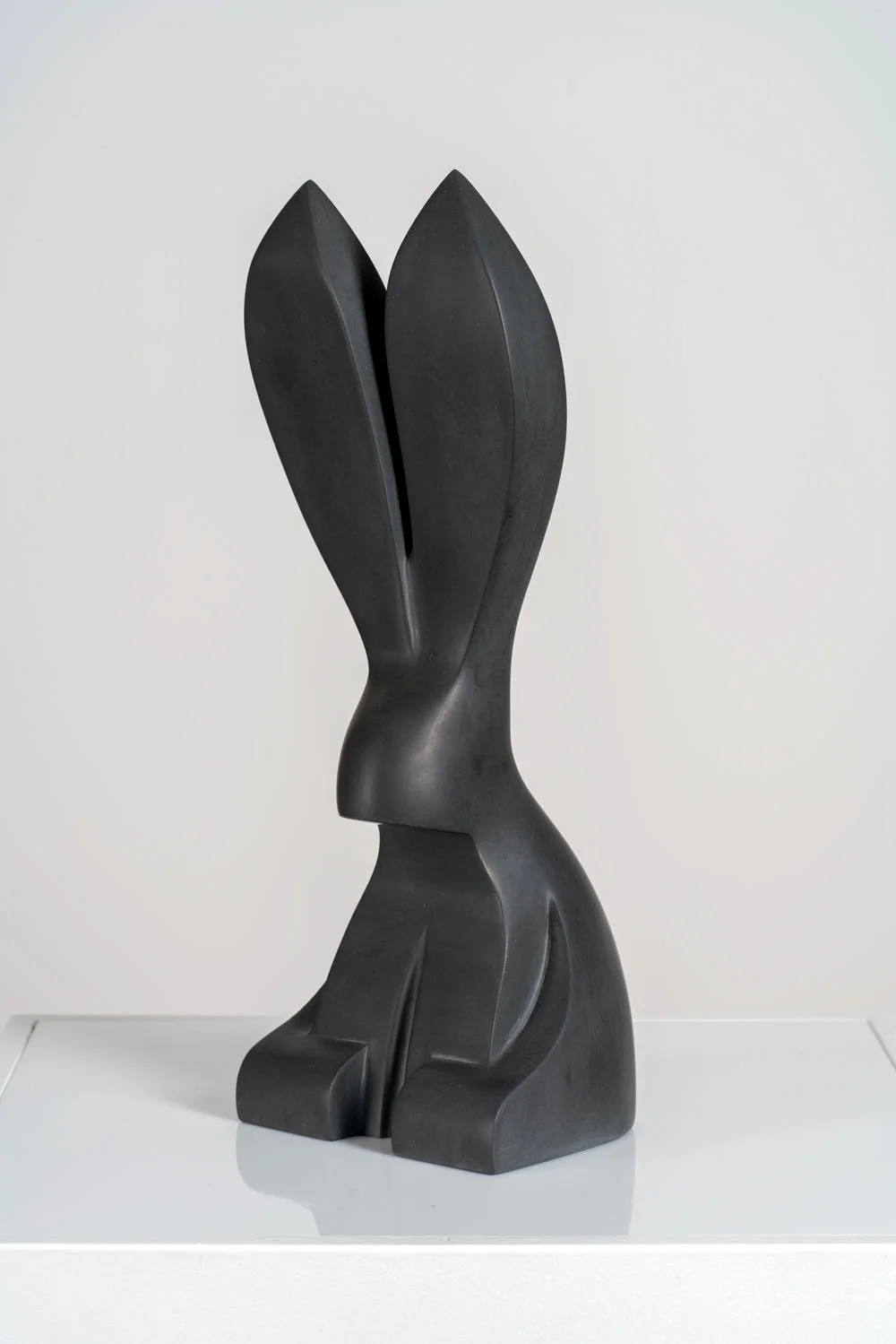 The Rather Round Bottomed Rabbit