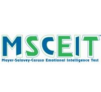 logo-msceit.jpg
