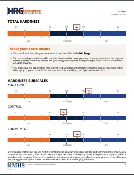 Hardiness Resilience Gauge Sample Report