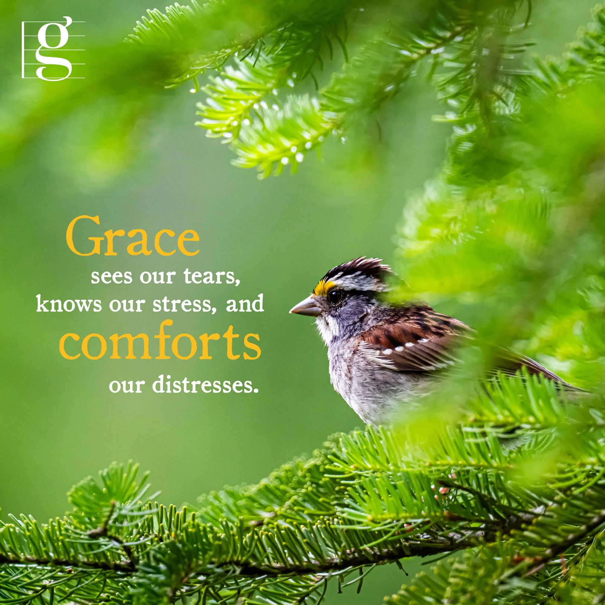 Grace Watching Over Me