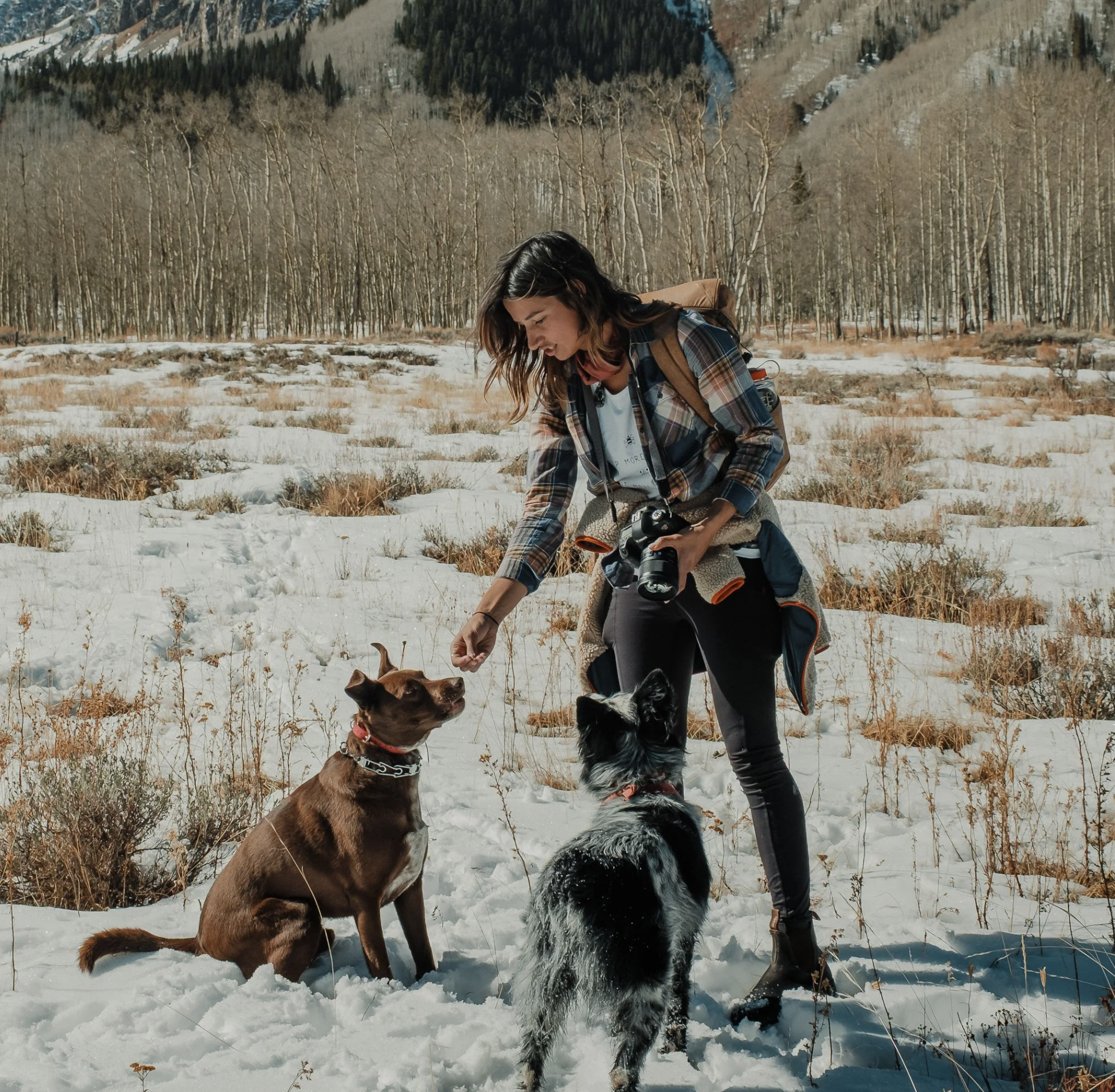 Screenshot 2026-02-27 at 5.21.40 PM.png