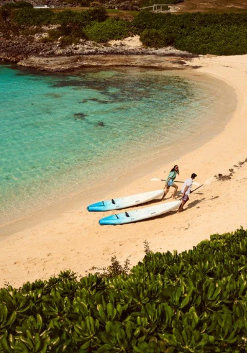 Screenshot 2026-02-01 165418.jpg