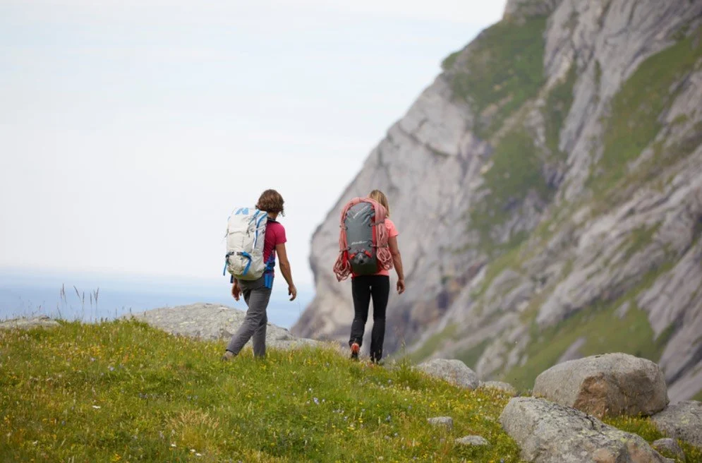 Screenshot 2026-02-01 180247.jpg