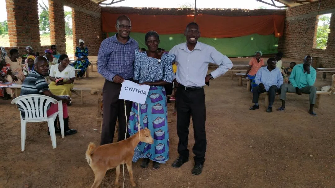 Be sure to check out the See the Goats page for more pictures like this one!