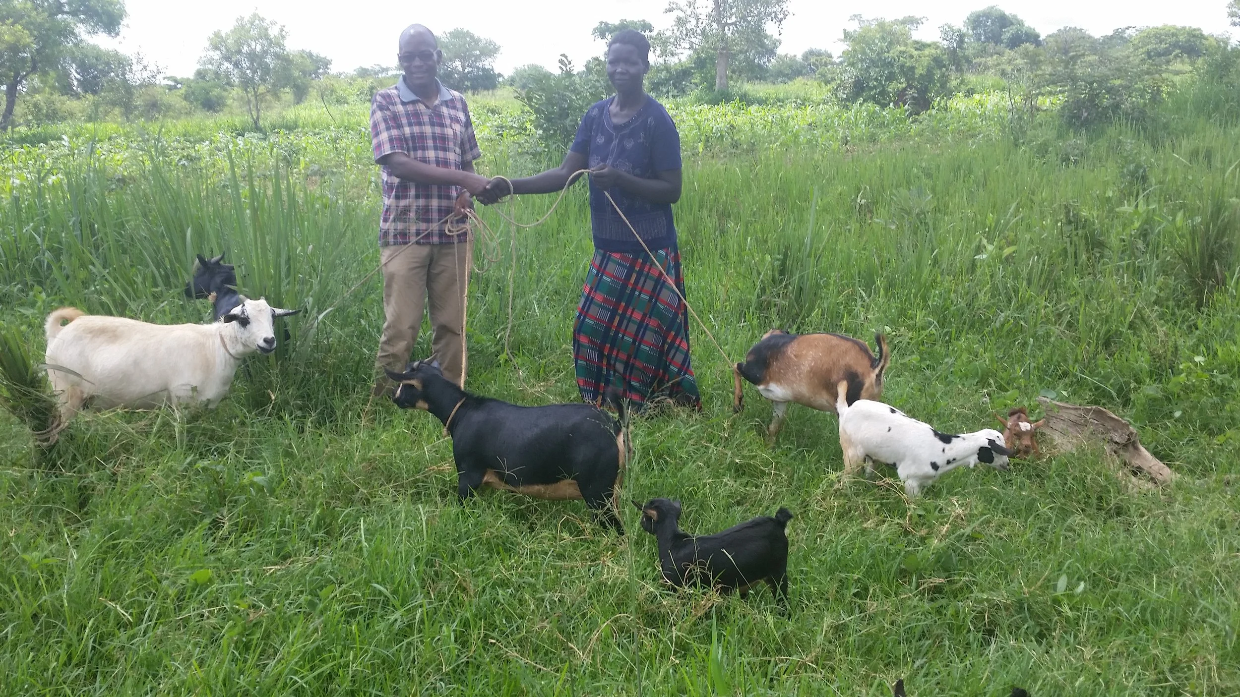 Activity Report September 2019