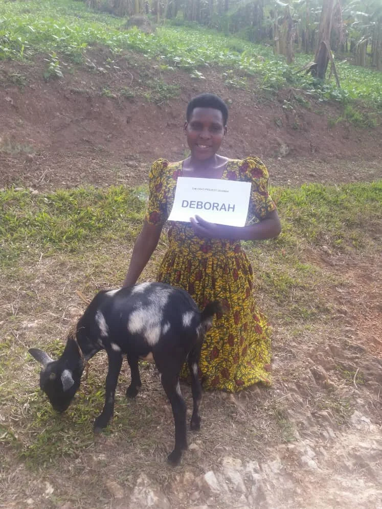 deborah goat.jpeg
