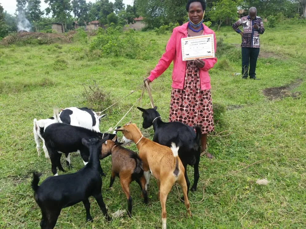 graduated goat 2.jpeg