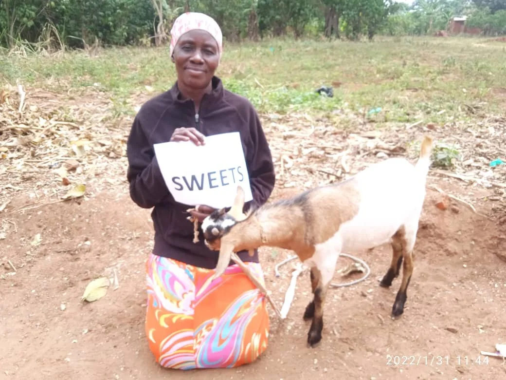 WhatsApp Image 2022-02-01 at 2.24.31 PM.jpeg