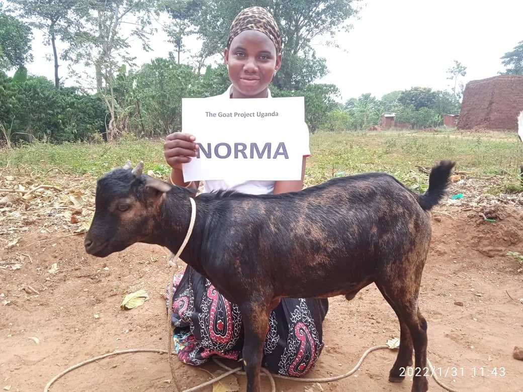 WhatsApp Image 2022-02-01 at 2.24.32 PM.jpeg