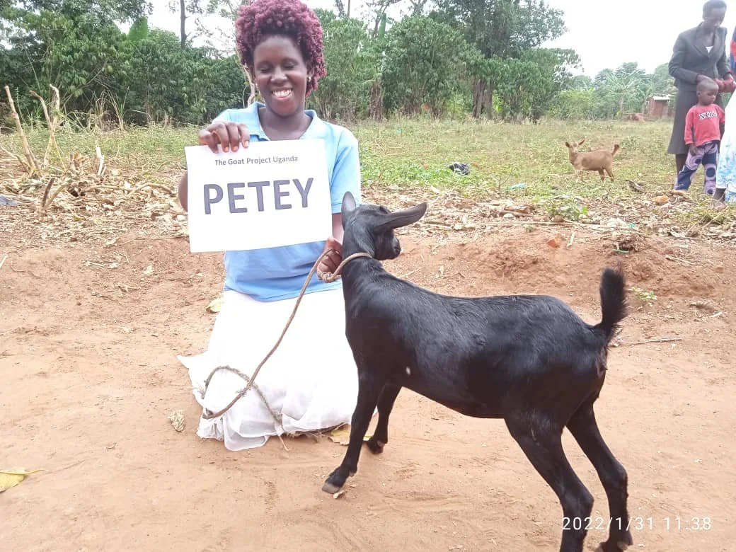 WhatsApp Image 2022-02-01 at 2.24.33 PM.jpeg