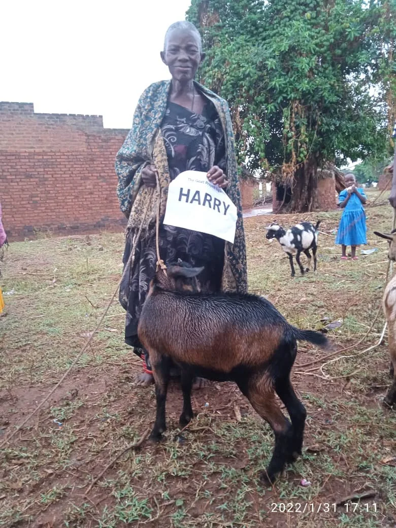 WhatsApp Image 2022-02-01 at 2.29.48 PM.jpeg