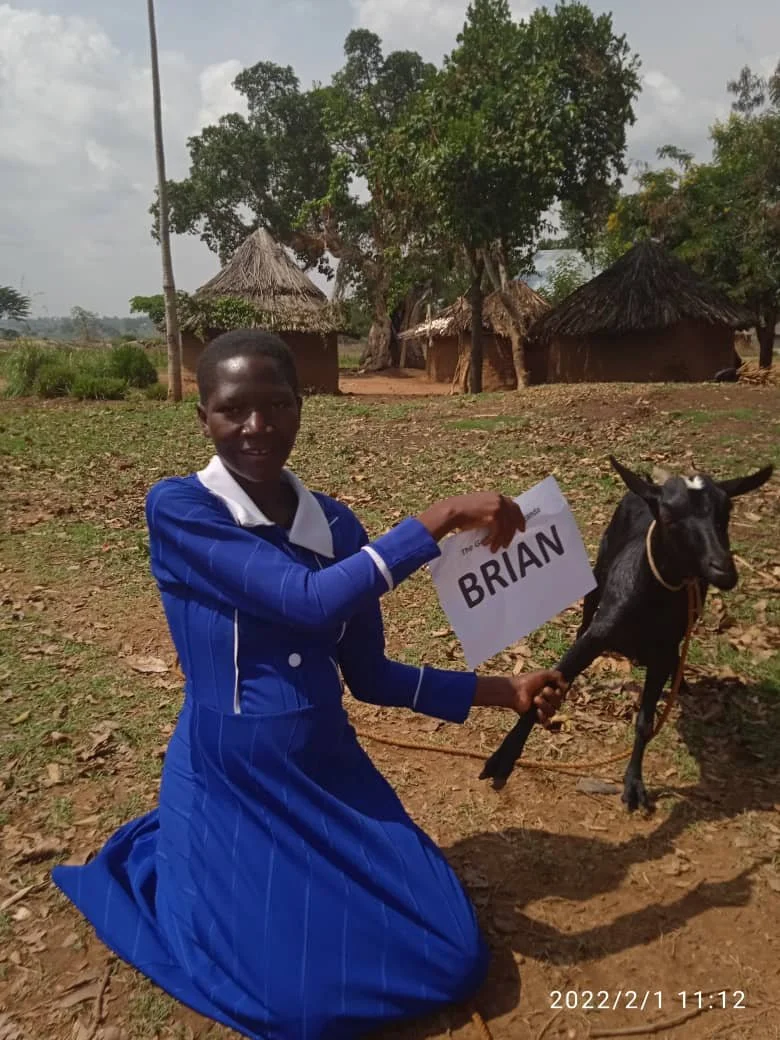 WhatsApp Image 2022-02-01 at 2.36.17 PM.jpeg