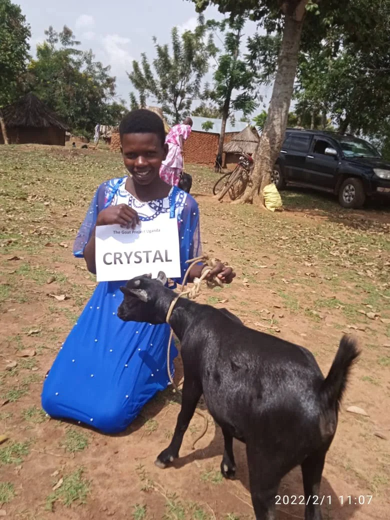 WhatsApp Image 2022-02-01 at 2.36.22 PM.jpeg