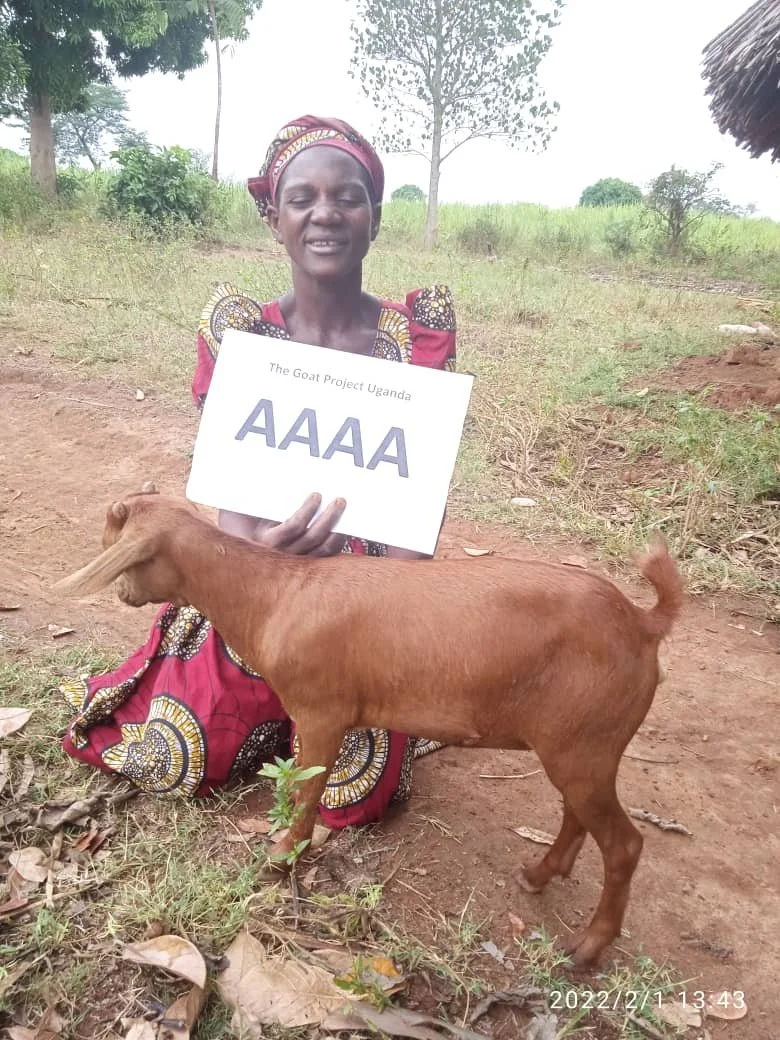 WhatsApp Image 2022-02-01 at 2.37.30 PM.jpeg