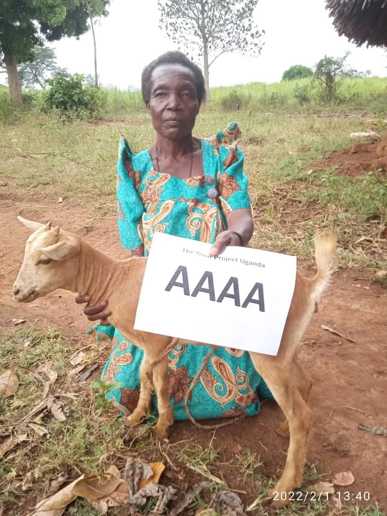 WhatsApp Image 2022-02-01 at 2.37.31 PM (2).jpeg