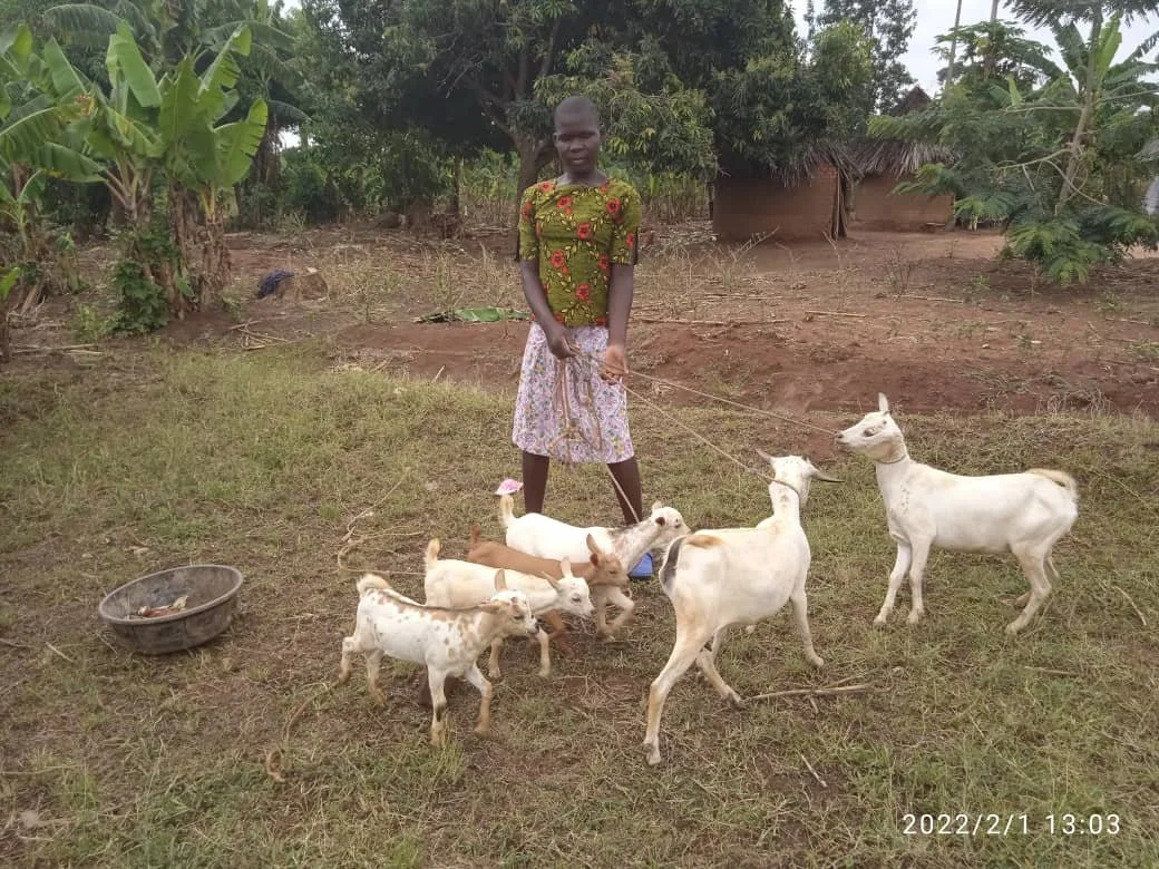 WhatsApp Image 2022-02-01 at 2.44.26 PM.jpeg