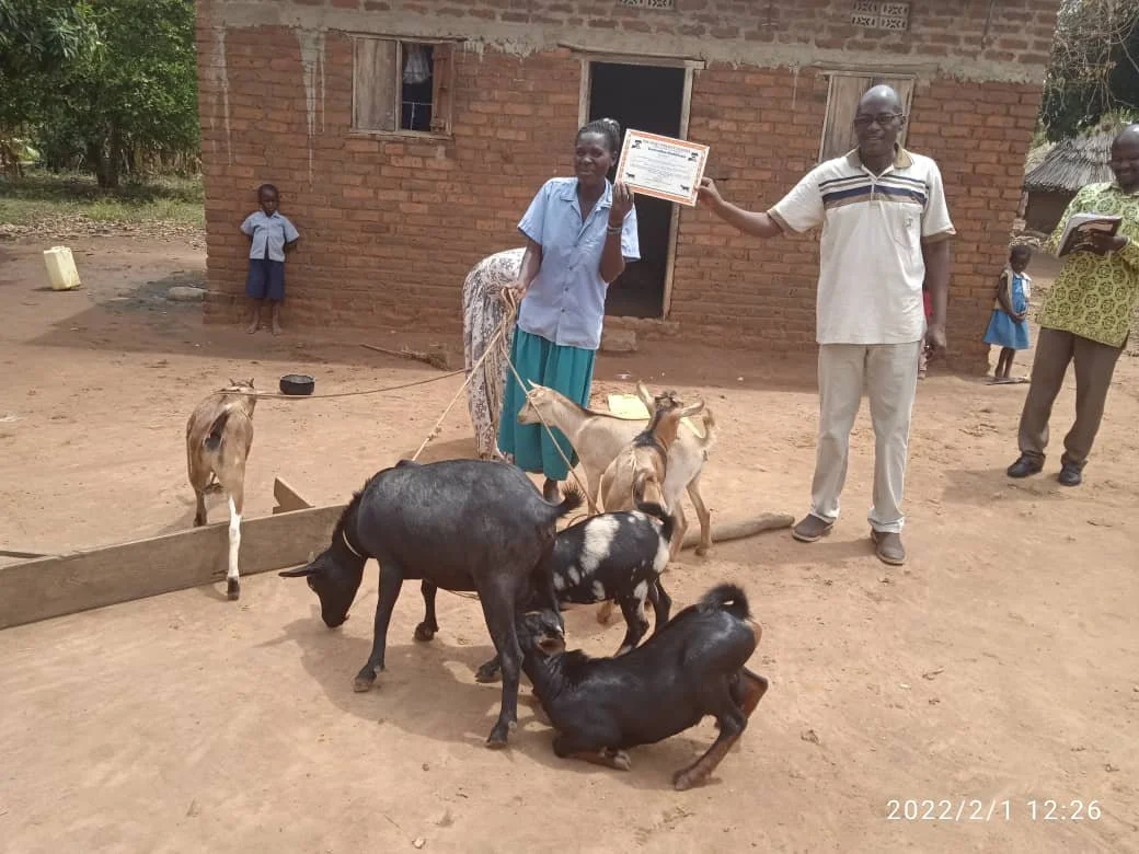 WhatsApp Image 2022-02-01 at 2.44.27 PM.jpeg