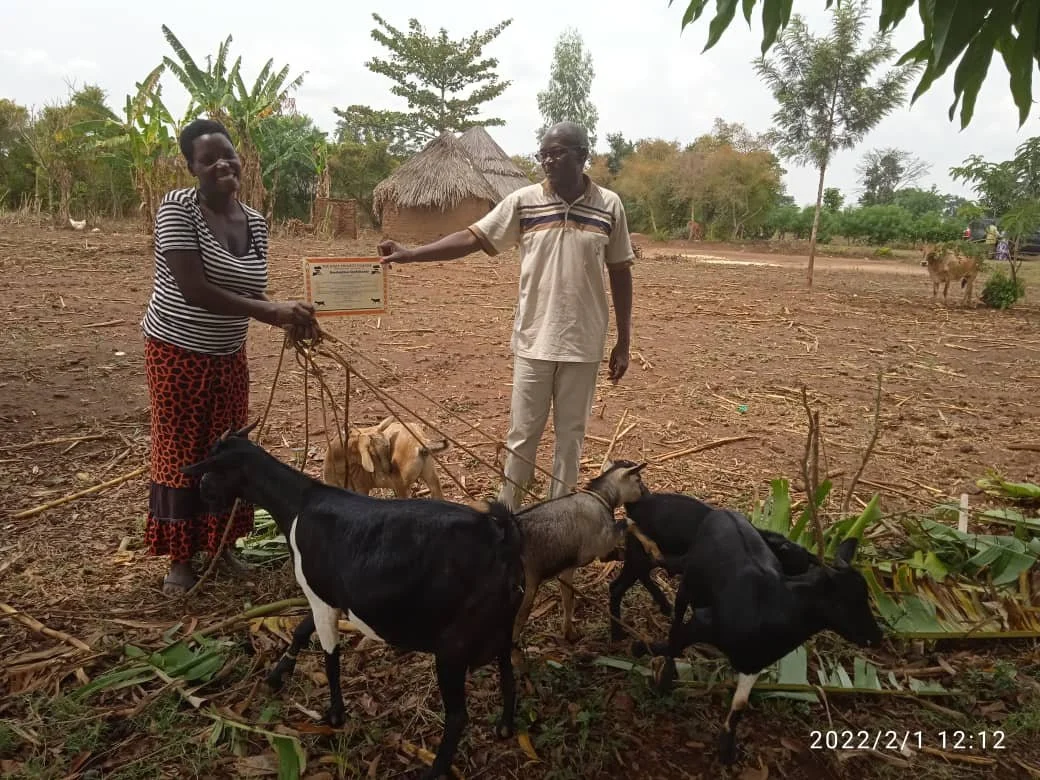 WhatsApp Image 2022-02-01 at 2.44.29 PM.jpeg