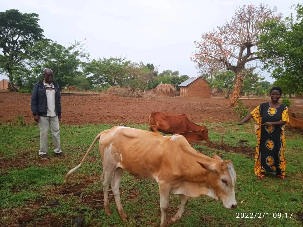 WhatsApp Image 2022-02-01 at 2.44.50 PM.jpeg