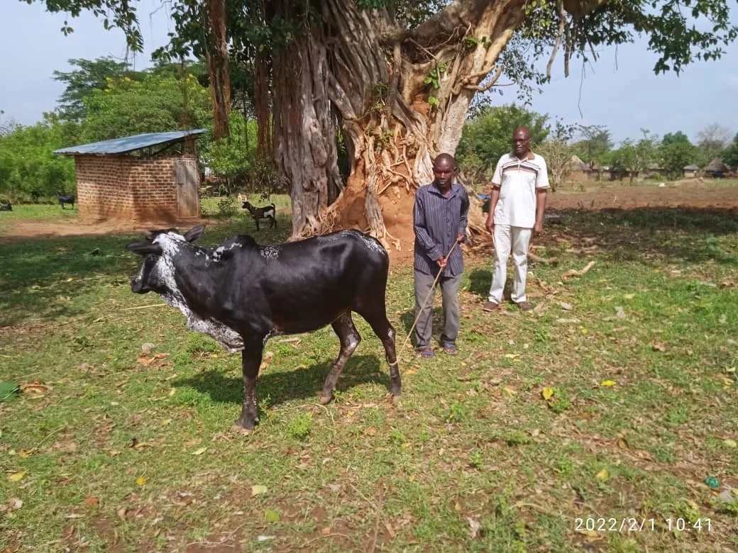 WhatsApp Image 2022-02-01 at 2.45.30 PM.jpeg