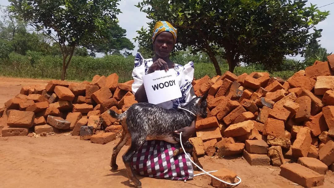 woddy.jpeg