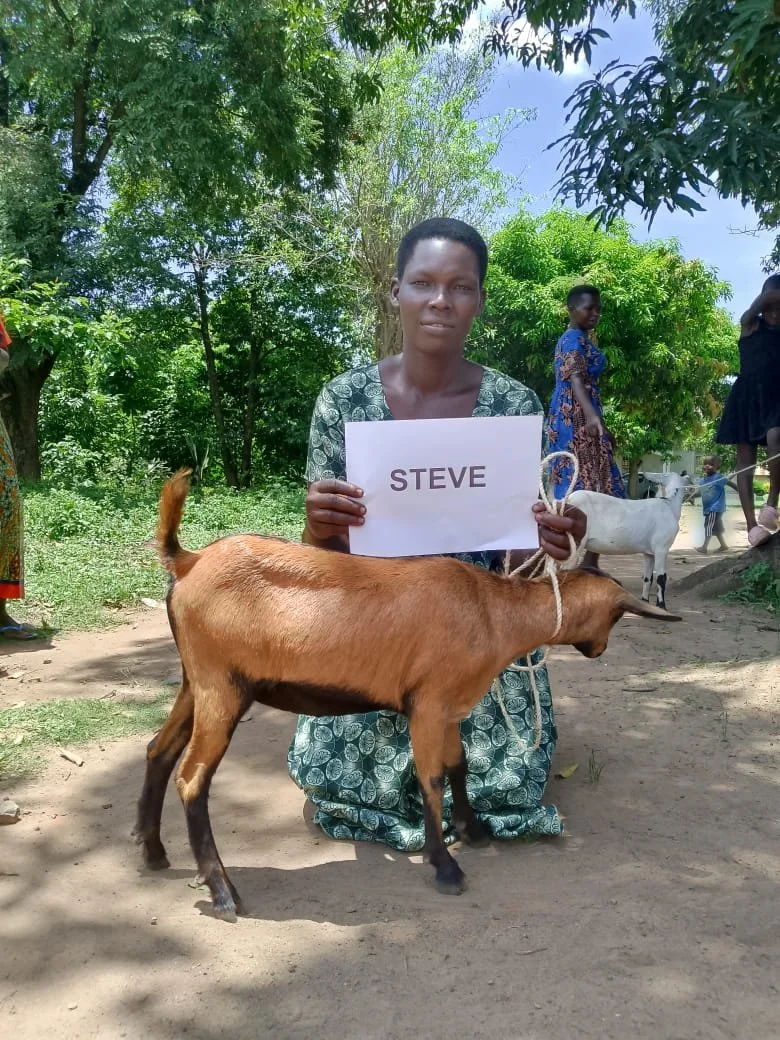 steve.jpg