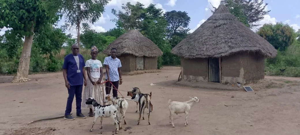 Goat graduation 2.jpeg