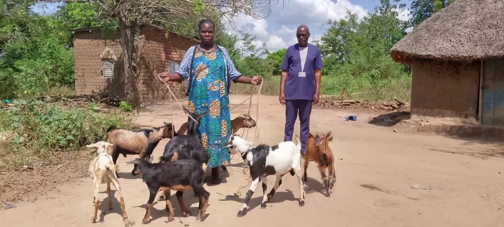 Goat graduation.jpeg