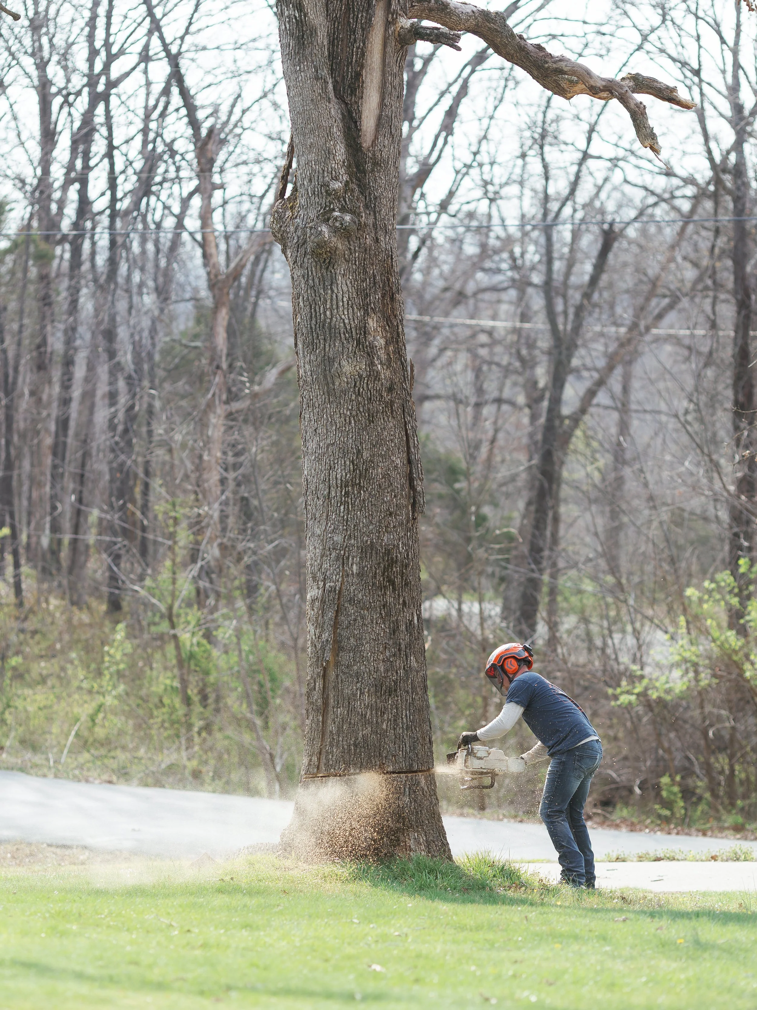 kalebs-landscaping-march-2026-emily-christisen-126.jpg