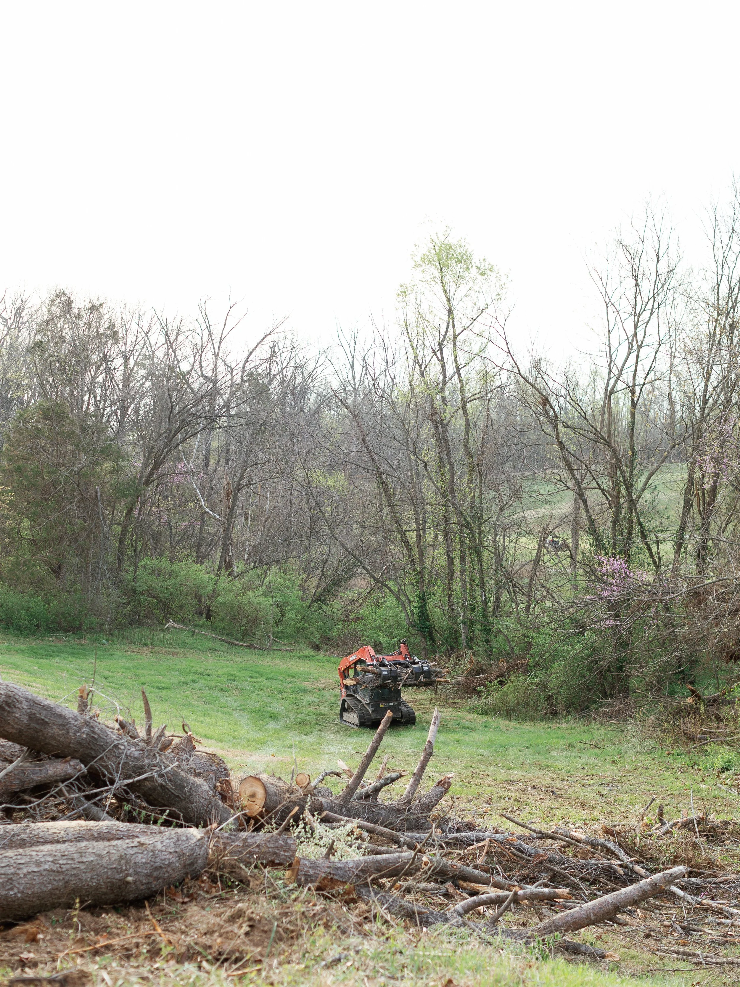 kalebs-landscaping-march-2026-emily-christisen-240.jpg