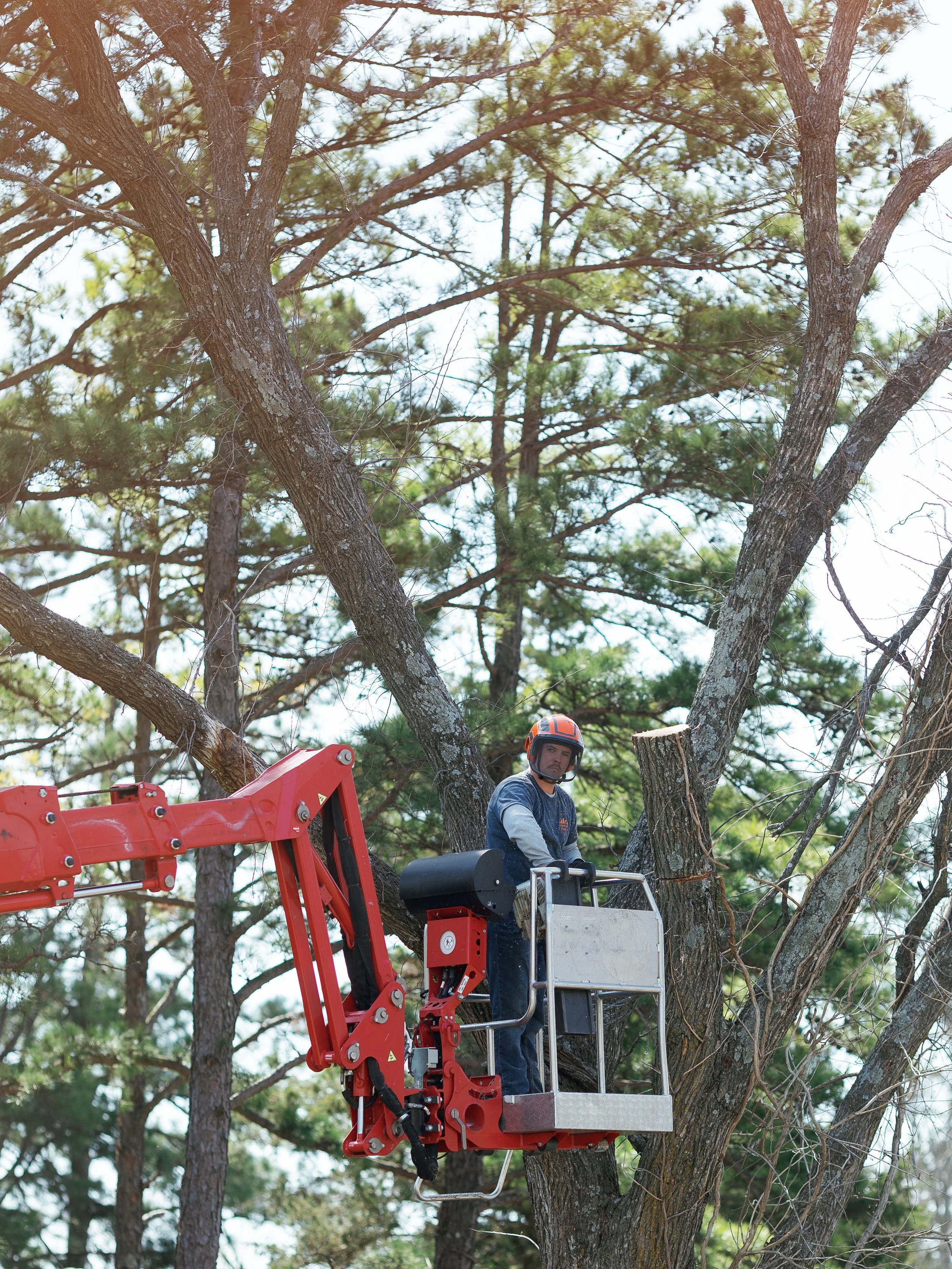 kalebs-landscaping-march-2026-emily-christisen-304.jpg