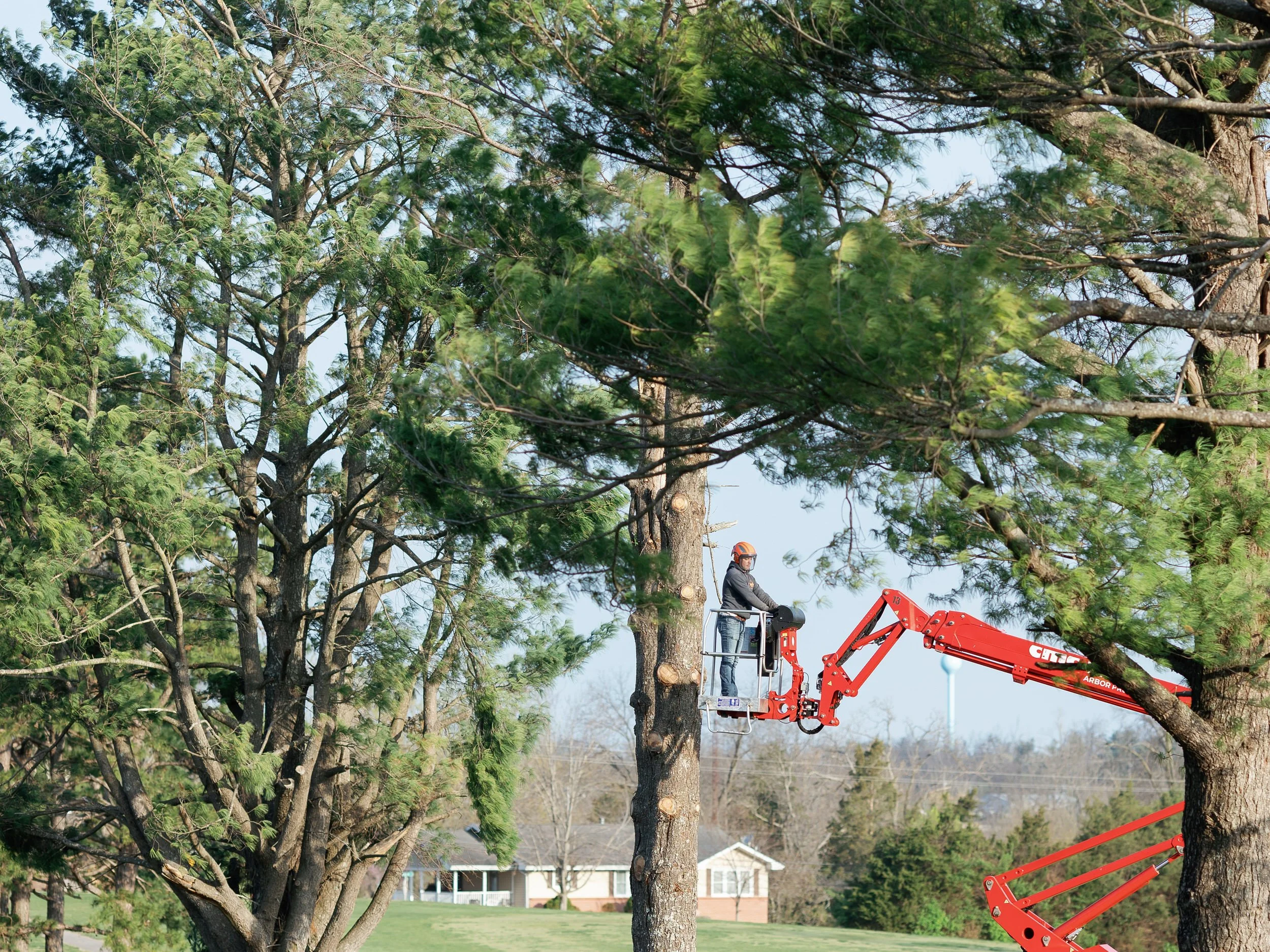 kalebs-landscaping-march-2026-emily-christisen-036.jpg