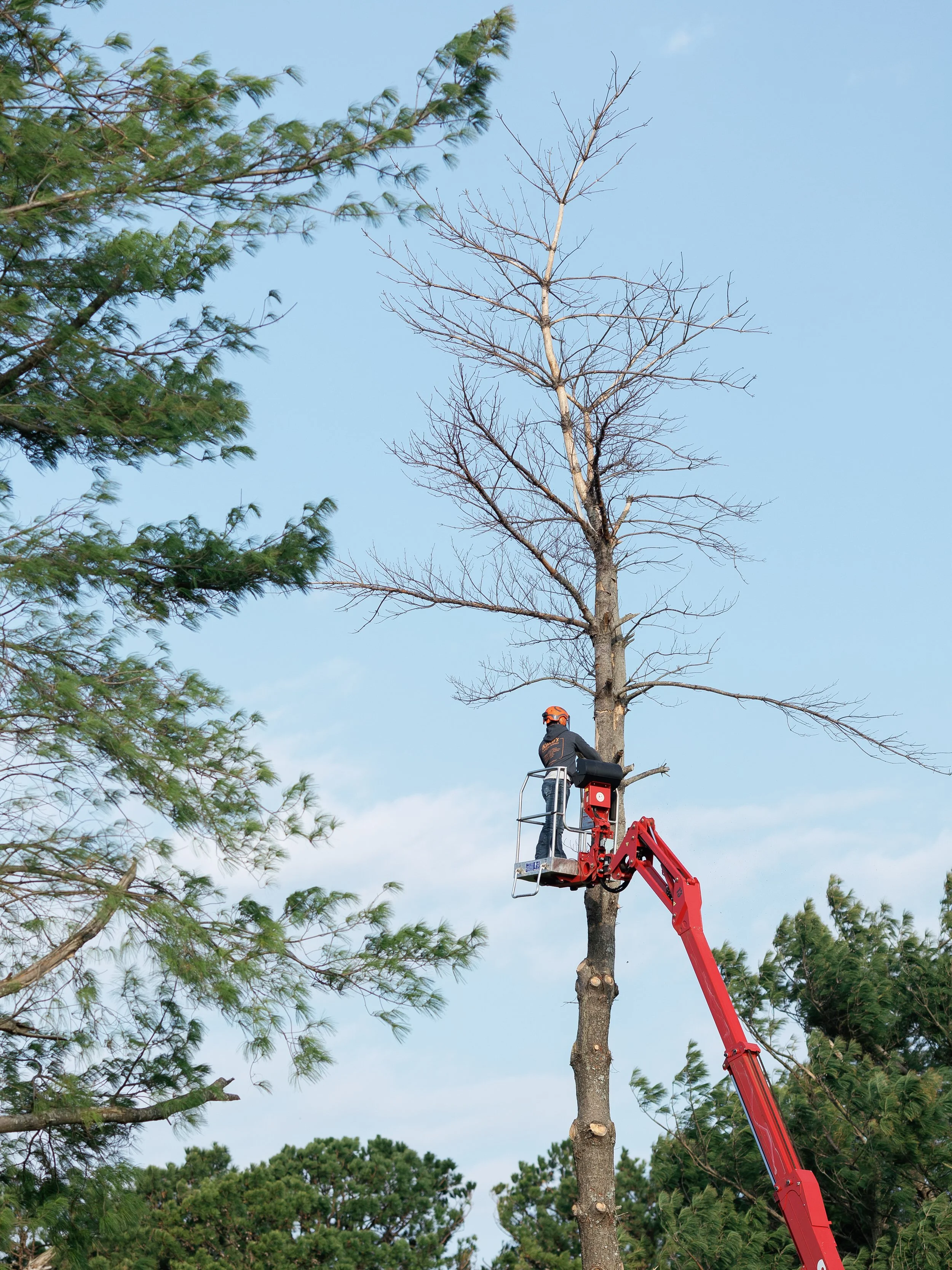 kalebs-landscaping-march-2026-emily-christisen-049.jpg